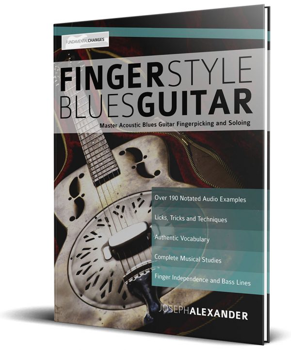 fingerstyle guitar players